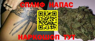 a pvp Будённовск