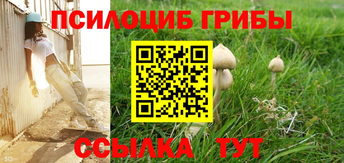 Псилоцибиновые грибы мухоморы Нарьян-Мар
