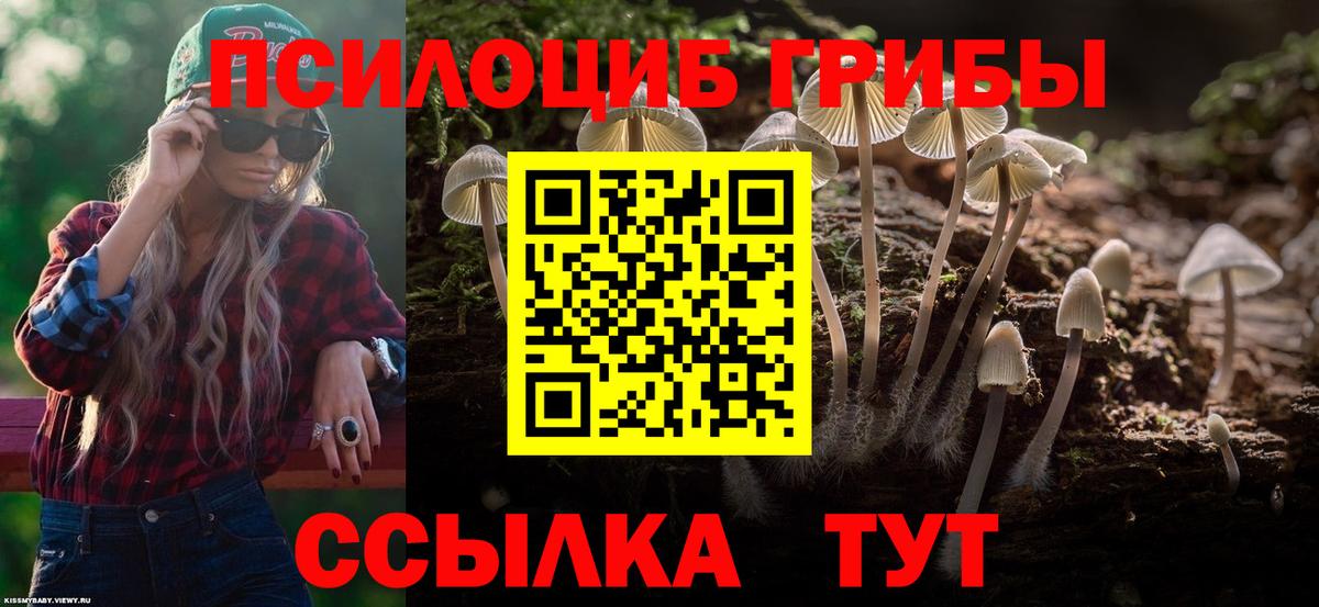 Нарьян-Мар  Псилоцибиновые грибы Magic Shrooms  Вход с VPN 